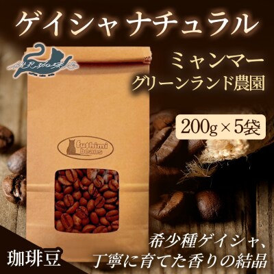 珈琲豆 ゲイシャナチュラル ミャンマー グリーンランド農園200g×5袋No.3277