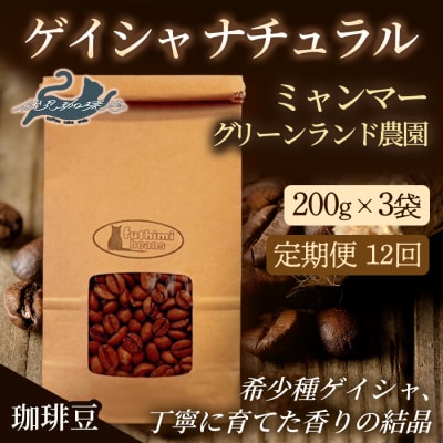 【12回定期便】珈琲豆 ゲイシャナチュラル ミャンマー200g×3袋No.3276