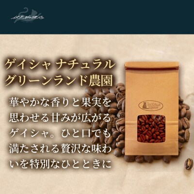 【12回定期便】珈琲豆 ゲイシャナチュラル ミャンマー200g×3袋No.3276
