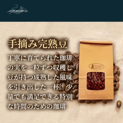 【2回定期便】珈琲 手摘み完熟豆 ブラジル・セラード産 200g×3袋No.3282