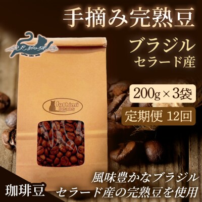 【12回定期便】珈琲 手摘み完熟豆 ブラジル・セラード産 200g×3袋No.3284