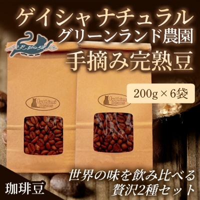 世界の味飲み比べ贅沢2種 200g×6袋No.3289