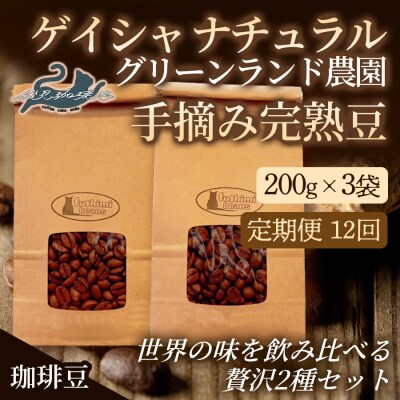 【定期便12ヶ月】世界の味飲み比べ贅沢2種セット【豆】200g×6袋 伏見珈琲店No.3292