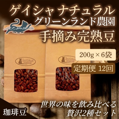 【12回定期便】世界の味飲み比べ贅沢2種【豆】200g×6袋No.3292