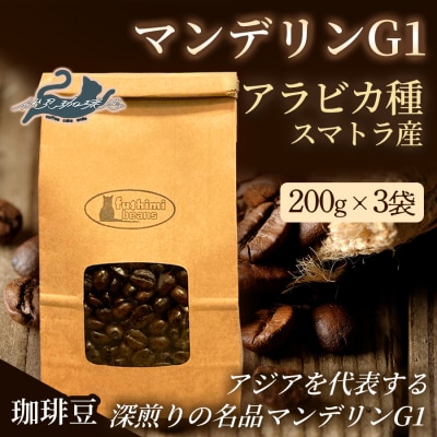 珈琲 マンデリンG1 アラビカ種 スマトラ産 200g×3袋No.3293