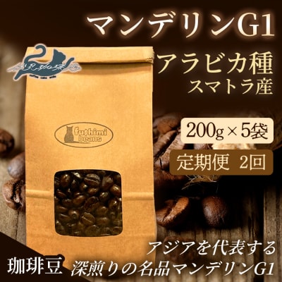 【2回定期便】珈琲 マンデリンG1 アラビカ種 スマトラ産 200g×5袋No.3298