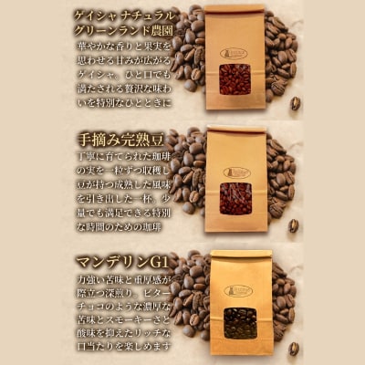 【12回定期便】世界の珈琲厳選3種 200g×9袋No.3304