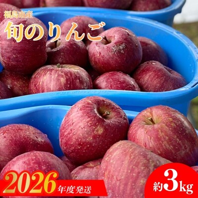  あづま果樹園 ふくしま 旬のりんご 約3kg 【2026年度発送】No.0145