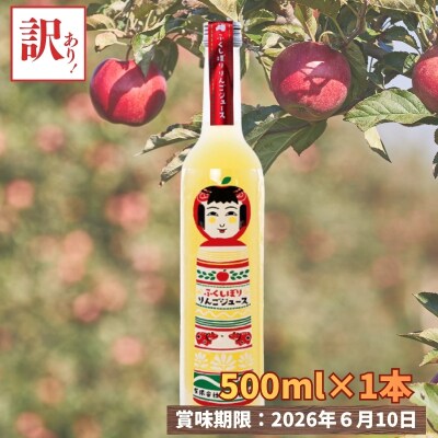  数量限定 訳あり ふくしぼりジュース(りんご)500ml×1本 果汁100%No.3329