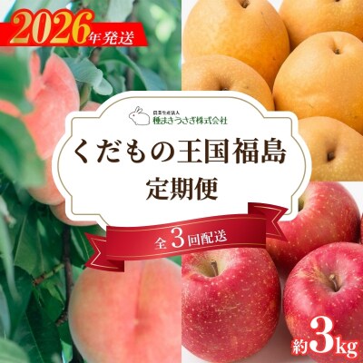  くだもの王国  福島定期便 全3回 もも 梨 りんご 各約3kg【2026年発送】No.3319
