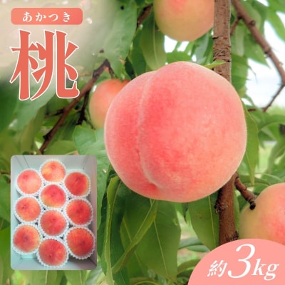 福島市産桃「あかつき」約3kg granyuu-farmNo.3360