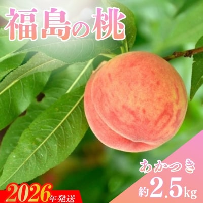  福島の桃「あかつき」 約2.5kg (9～11玉)【2026年発送】No.3345