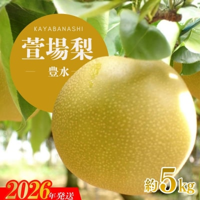  萱場梨 豊水 約5kg(10～16個)【2026年発送】No.3347
