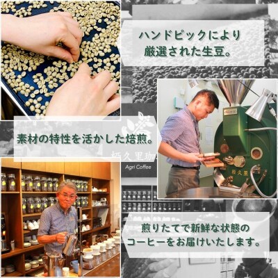  椏久里珈琲スペシャルティコーヒー5ヶ月定期便【豆】No.3361