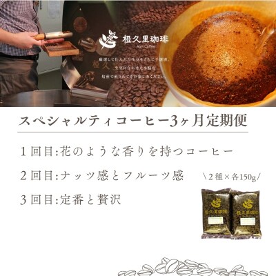  椏久里珈琲スペシャルティコーヒー3ヶ月定期便【豆】No.3363