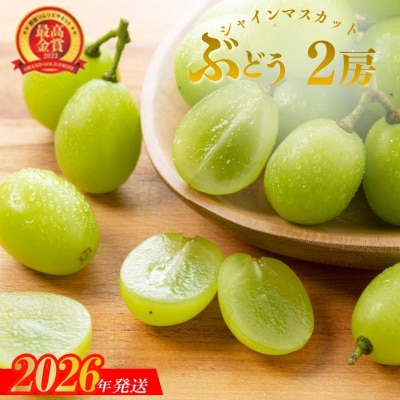  ぶどう シャインマスカット (約500g×2房)【2026年発送】No.3365