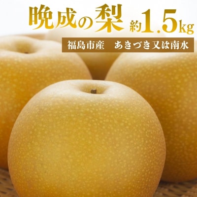  アグリード福島市産晩成の梨(あきづき又は南水) 約1.5kg【2026年発送】No.3368