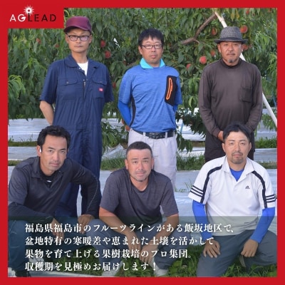  アグリード福島市産晩成の梨(あきづき又は南水) 約1.5kg【2026年発送】No3368