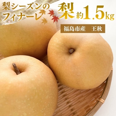  アグリード 福島市産 最終盤の梨(王秋) 約1.5kg(3～5玉)【2026年発送】No.3369
