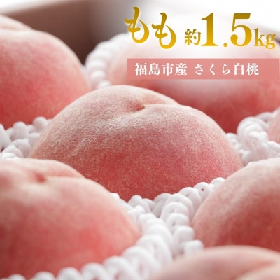  アグリード 福島の桃(さくら白桃)晩成種 約1.5kg(3～5玉)【2026年発送】No.3370