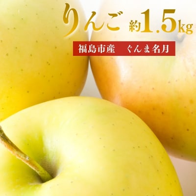  アグリード 福島市産 りんご(ぐんま名月)約1.5kg(3～6玉)【2026年発送】No.3372