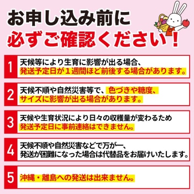  アグリード 福島市産 りんご(きみと)約1.5kg(3～6玉)【2026年発送】No.3373