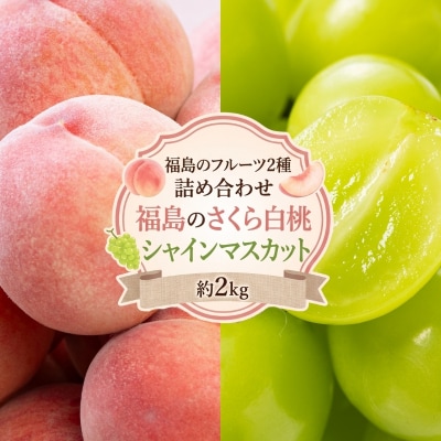  アグリード福島フルーツ2種セット(桃とシャインマスカット)約2kg【2026年発送】No.3377