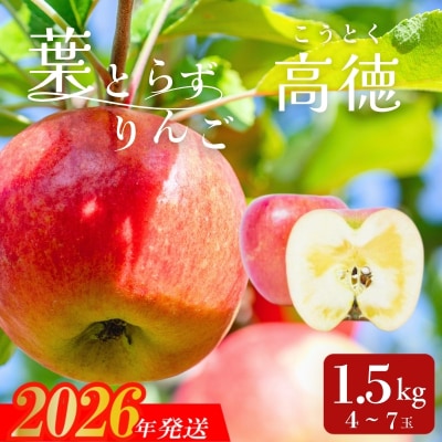 アグリード 福島市産 葉とらず林檎(高徳)約1.5kg(4～7玉)【2026年発送】No.3394