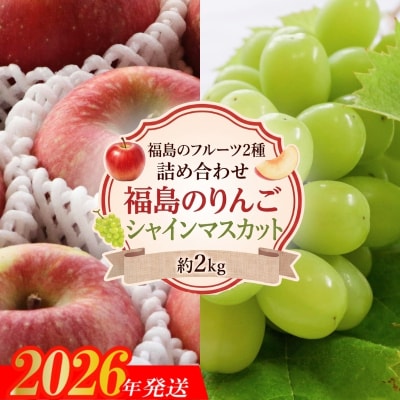 福島のフルーツ2種詰め合わせ(りんごとシャインマスカット)約2kg【2026年発送】No.3395