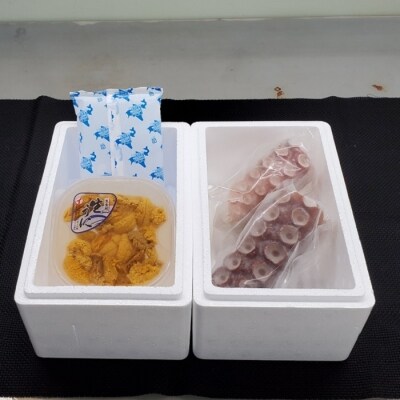 【年内配送】エゾバフンウニ塩水パック1P、たこ足1.2～1.7kg D-53032