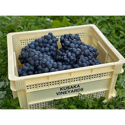 KusakaVineyards ROUGE 2019　750ml 【2本セット】