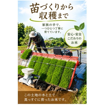 令和8年特別栽培米　精米コシヒカリ5kg