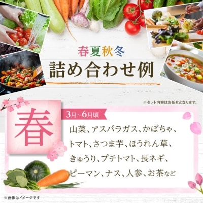 季節の野菜 詰め合わせ「スタンダードコース」