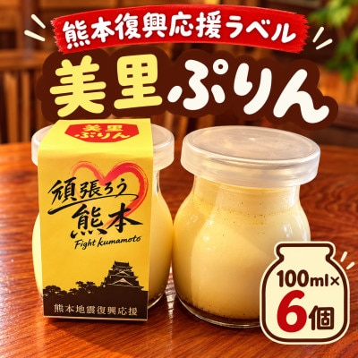 【熊本地震復興応援ぷりん】美里ぷりん(100ml×6個)