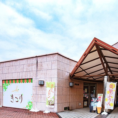 【熊本地震復興応援ぷりん】美里ぷりん(100ml×6個)