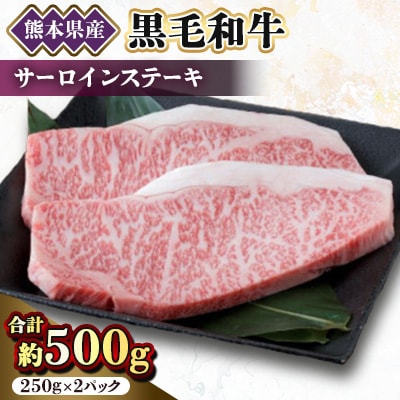 【黒毛和牛】熊本県産　サーロインステーキ　500g(250g×2パック)　(美里町)