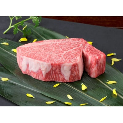 【黒毛和牛】熊本県産　ヒレステーキ　400g(200g×2パック)　(美里町)
