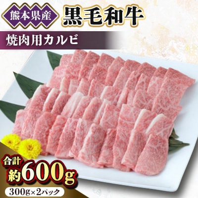 【黒毛和牛】熊本県産　焼き肉用　カルビ600g(300g×2パック)　(美里町)