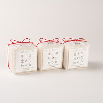 美しの里のめぐみキューブ(無洗米2合)3個SET