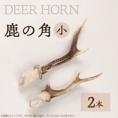 SDGs【DEER HORNE 鹿の角】(小サイズ)2本