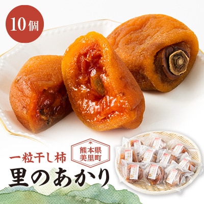 美里町産の干し柿　一粒干し柿　里のあかり　10個セット(約500g)