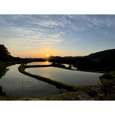 【さとふる限定】九州のお米食味コンクール3年連続優勝!美里町産にこまる　お試し1kg