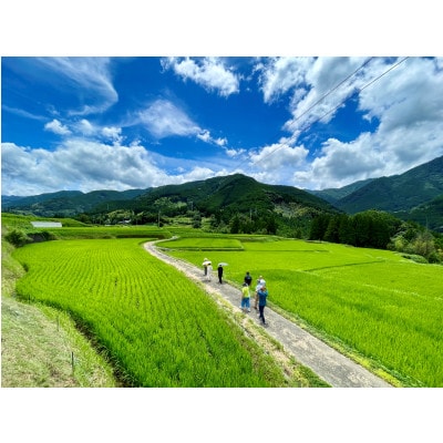 【さとふる限定】九州のお米食味コンクール3年連続優勝!美里町産にこまる　お試し1kg