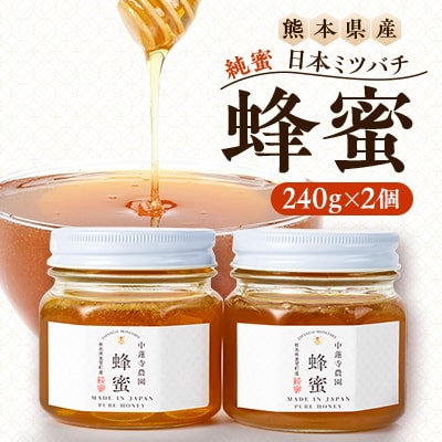 【数量限定】熊本県 美里町 はちみつ 純蜜 240g×2個【中蓮寺農園】