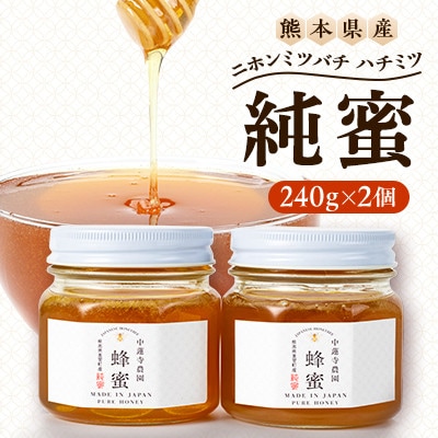 【数量限定】熊本県 美里町 ニホンミツバチ ハチミツ 純蜜 240g×2個【中蓮寺農園】