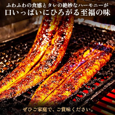 鰻の名店『うな雅』国産 手焼き 鰻【特上】かば焼き 3尾 540g～580g【めぐみ食品】