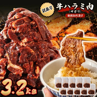 秘伝たれ漬け 訳あり 柔らか牛ハラミ(サガリ)肉 味付け合計3.2kg 小分け10パック