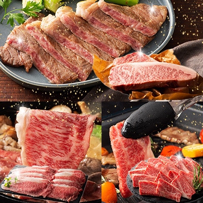 【ギフトボックス】くまもと黒毛和牛「藤彩牛」サーロインステーキと2種の食べ比べ(美里町)