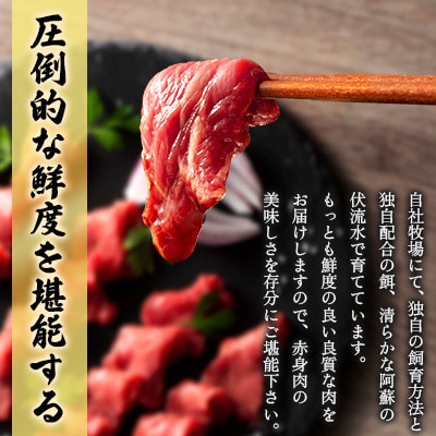 【毎月定期便】【全3回】フジチクふじ馬刺し上赤身4個セット 合計約320g(美里町)　全3回