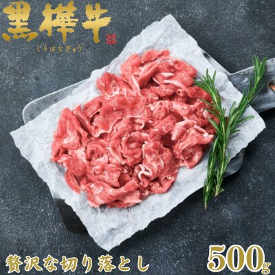 くまもと黒毛和牛 黒樺牛 A4～A5等級 牛肉切り落とし 500g【杉本本店】(美里町)